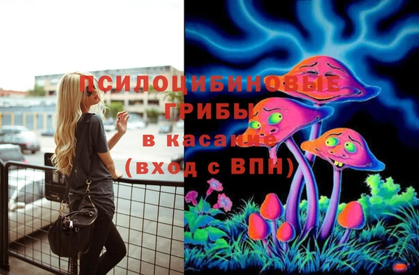 MESCALINE Няндома