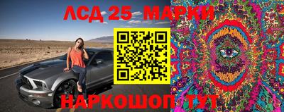 a pvp Краснознаменск