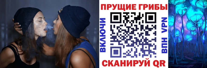 Галлюциногенные грибы GOLDEN TEACHER  Новокузнецк 
