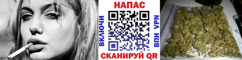 Шишки марихуана семена  Новокузнецк 